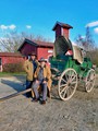 Pullman City #10