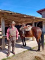 Pullman City #19